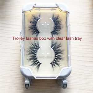 eyelash packaging box