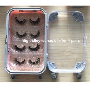 lashes book